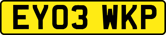 EY03WKP