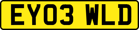 EY03WLD