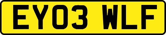 EY03WLF