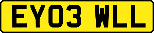 EY03WLL