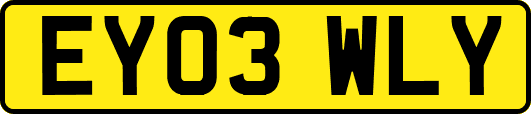 EY03WLY