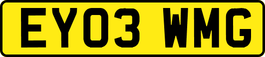 EY03WMG