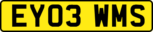 EY03WMS