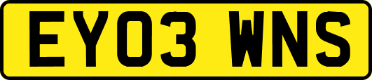 EY03WNS