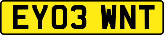 EY03WNT