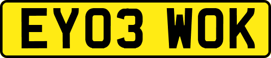 EY03WOK