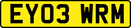 EY03WRM