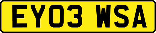 EY03WSA