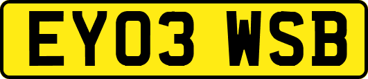 EY03WSB