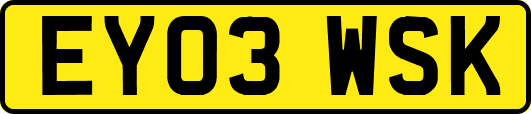 EY03WSK