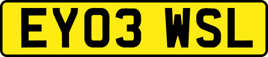 EY03WSL