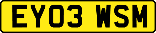 EY03WSM