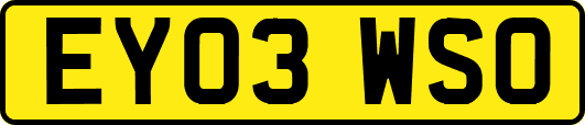 EY03WSO