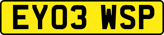 EY03WSP