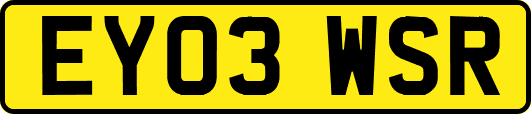 EY03WSR