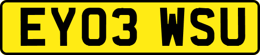 EY03WSU