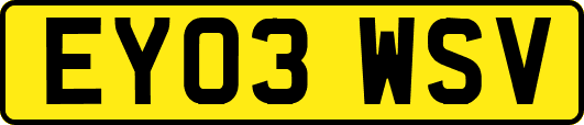 EY03WSV