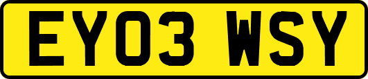 EY03WSY