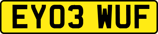 EY03WUF