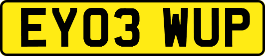 EY03WUP
