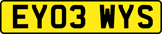 EY03WYS
