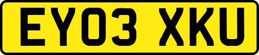 EY03XKU