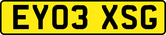 EY03XSG