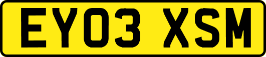 EY03XSM