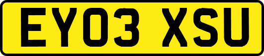 EY03XSU