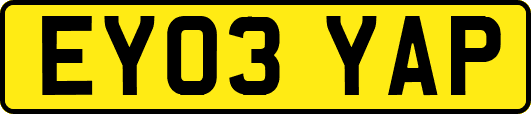EY03YAP
