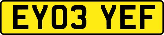 EY03YEF