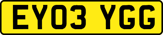 EY03YGG