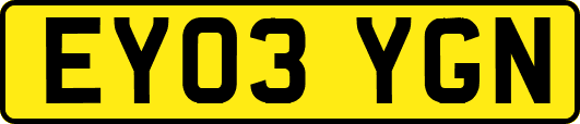 EY03YGN