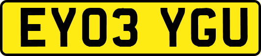EY03YGU