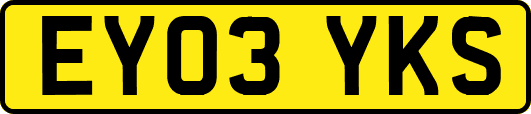 EY03YKS