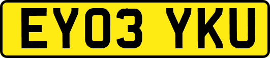 EY03YKU