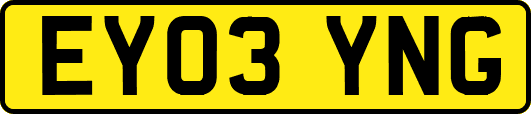 EY03YNG