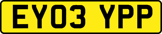 EY03YPP
