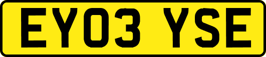 EY03YSE