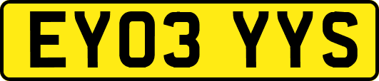 EY03YYS