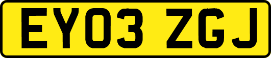 EY03ZGJ