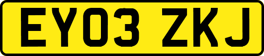 EY03ZKJ