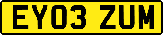 EY03ZUM