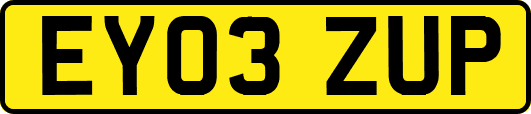 EY03ZUP