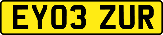 EY03ZUR