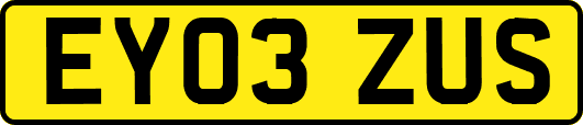 EY03ZUS