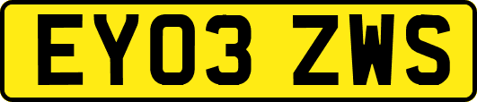 EY03ZWS