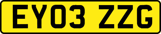 EY03ZZG
