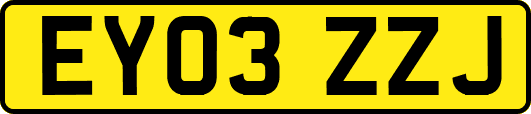 EY03ZZJ