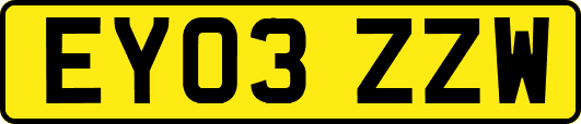EY03ZZW